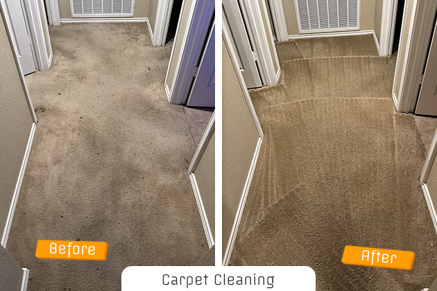 Carpet Cleaning Carpet Cleaning