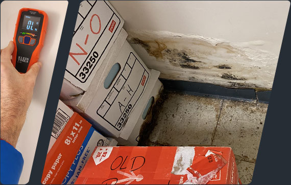Mold Testing Inspection Services Mold Testing Inspection Services