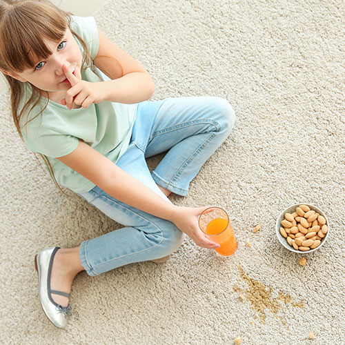 Carpet Cleaning Services Carpet Cleaning Services